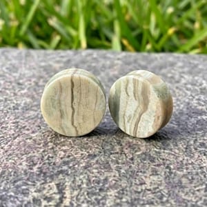 May include: A pair of circular ear plugs featuring a smooth, polished surface with natural, wavy bands of beige, cream, and soft sage green stone patterns. The cylindrical jewelry pieces have a flat front face and a consistent, solid stone texture.