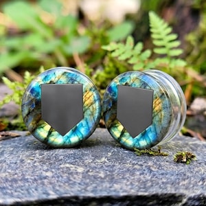 May include: A pair of circular ear plugs featuring a polished labradorite stone face with iridescent blue and gold flashes. Each plug is centered with a smooth, matte black shield-shaped inlay. The sides of the plugs are made of clear material.