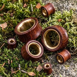 May include: A collection of six circular ear plugs in varying sizes, each featuring a dark brown wood exterior with a smooth, polished brass inner lining. The plugs are arranged in a cluster, showcasing the contrast between the wood grain and metal.