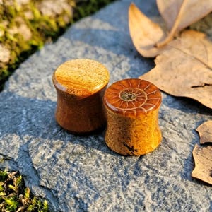 Puede incluir: Dos dilatadores de oreja cilíndricos con un acabado liso y pulido. Uno presenta un patrón de veta de madera natural en tonos marrón y beige, mientras que el otro muestra una incrustación detallada de fósil de amonita en espiral en su cara plana.