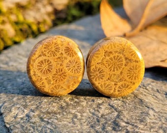 2PCS Natural Coral Fossil Gauges Double Flat Ear Plugs Indonesian Pattern Stone Plugs Pair Artisan Piercing Custom Size