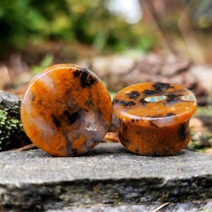 Puede incluir: Dos tapones para los oídos de piedra naranja y negra, uno plano y otro con borde acampanado, sobre una superficie de piedra gris. Los tapones tienen un aspecto veteado con manchas y vetas oscuras. El fondo es verde borroso.