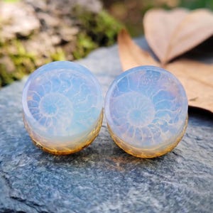 Puede incluir: Dos tapones para los oídos opalescentes con un diseño en espiral. Los tapones tienen una combinación de colores azul claro y blanco con una base amarillo dorado. Se muestran sobre una superficie de piedra gris.