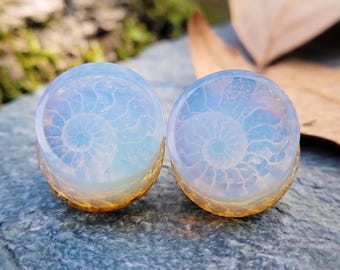 Ammonite Fossil Opalite Plugs Spiral Shell Gauges Iridescent Crystal Tunnels Gothic Witchy Jewelry All Sizes Pair