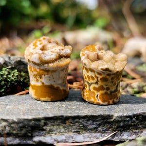 Puede incluir: Dos tapones de piedra hechos a mano con un patrón moteado único en tonos marrón, crema y blanco. Los tapones tienen forma cilíndrica con una base acampanada y están rematados con un grupo de cristales.