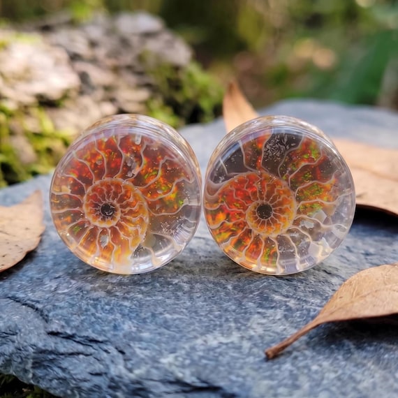 Spiral Ammonite Fossil Quartz Plugs, Artisan Iridescent Ammolite Plugs, Double Flare Crystal Gauges, Handcrafted Solid Pair