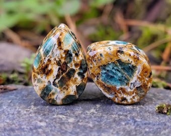 Natural Petrified Wood Opal Teardrop Plugs, Artisan Opalized Wood Plugs, Double Flat Stone Gauges, Handcrafted Solid Pair
