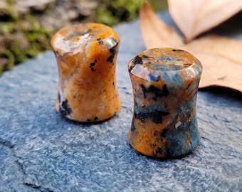 Petrified Wood Opal Plugs Double Flare Gauges Blue Green Fossil Stone Tunnels Earth Landscape Boho Jewelry Pair All Sizes