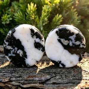 Zebra Jasper Plugs Black White Stone Gauges Double Flare Flat Face Monochrome Marble Gemstone Gift Pair