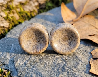 Natural Indonesian Coral Fossil Plugs, Artisan Double Concave Plugs, Organic Stone Gauges, Handcrafted Double Flare Pair