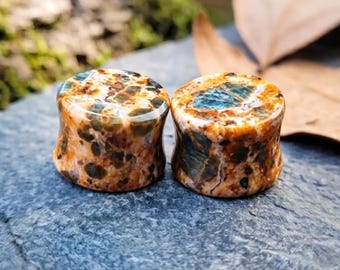 Natural Petrified Wood Opal Plugs Double Flare Gauges Fossil Stone Tunnels Ancient Artifact Druid Forest Jewelry Pair Custom Size