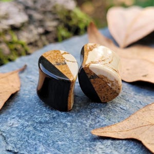 Obsidian Teardrop Plugs Picture Jasper Gauges Double Flat Solid Howlite Mixed Stone Geometric Earring Pair Custom
