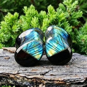 Può includere: Una coppia di dilatatori per orecchie realizzati in pietra labradorite lucida, caratterizzati da una base nera liscia e da un vivace riflesso iridescente blu e giallo sulla superficie anteriore, che mostra la struttura minerale naturale.