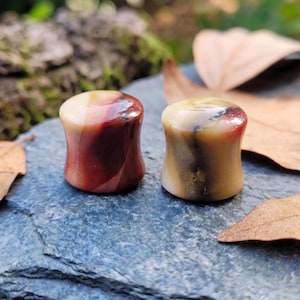 May include: Two stone plugs with a flared shape. One plug is primarily red with white and brown swirls, and the other is tan with brown and black streaks. The plugs are on a gray stone surface with leaves in the background.