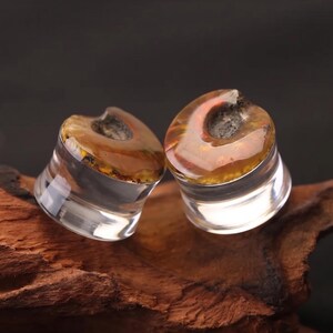 May include: A pair of circular ear plugs featuring clear, transparent sides and a top surface with a polished, amber-colored resin inlay. The inlay displays a swirling, organic pattern with deep orange and brown tones surrounding a dark, textured center.