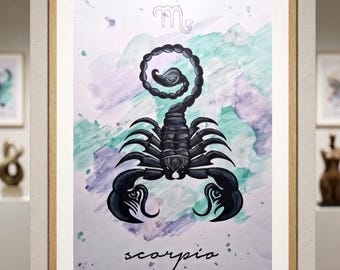 Scorpion Illustration