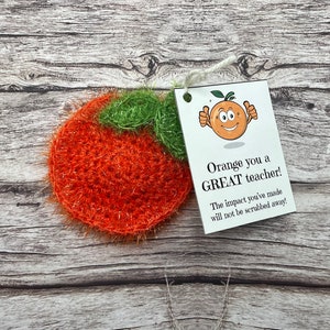 Orange You a Great Teacher Dish Scrubby: Teacher Appreciation Gift