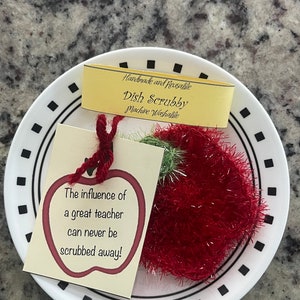 Apple Dish Scrubby: Teacher Appreciation Gift with Encouraging Message
