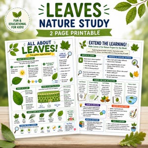 以下が含まれることがあります： 「Leaves Nature Study」と題された2ページの教育用プリント。緑の葉のイラスト、葉の構造図、光合成の解説、子供たちが自然を探索するための実践的なアクティビティの提案が記載されています。