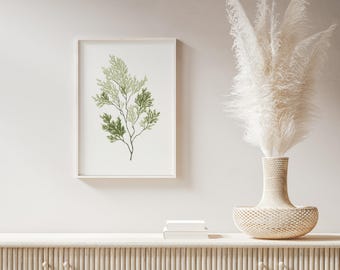 Lámina de acuarela de rama de ciprés / Arte botánico para pared
