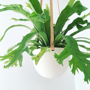 Hanging Planter in Ceramic and Recycled Leather | Porcelain Plant Hanger