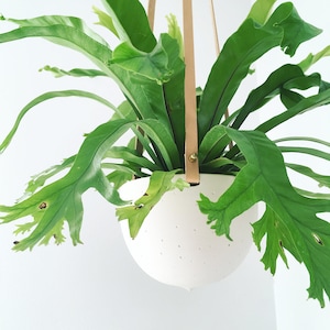 Hanging Planter in Ceramic and Recycled Leather Porcelain Plant Hanger image 1