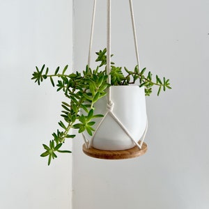 Plant Hanger Shelf, recycled bamboo and canadian cotton, three sizes image 1