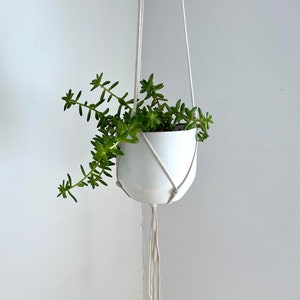 Peut inclure: Un pot suspendu en céramique blanche avec une plante succulente verte à l'intérieur. Le pot est suspendu à une corde en macramé blanche.