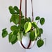 see more listings in the Plant Accessories section