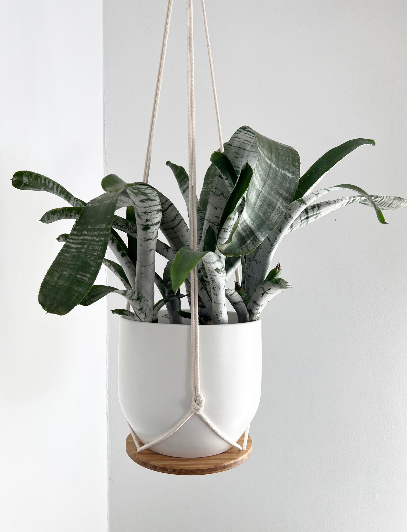 Plant Hanger Shelf Recycled Bamboo and Canadian Cotton Three Etsy