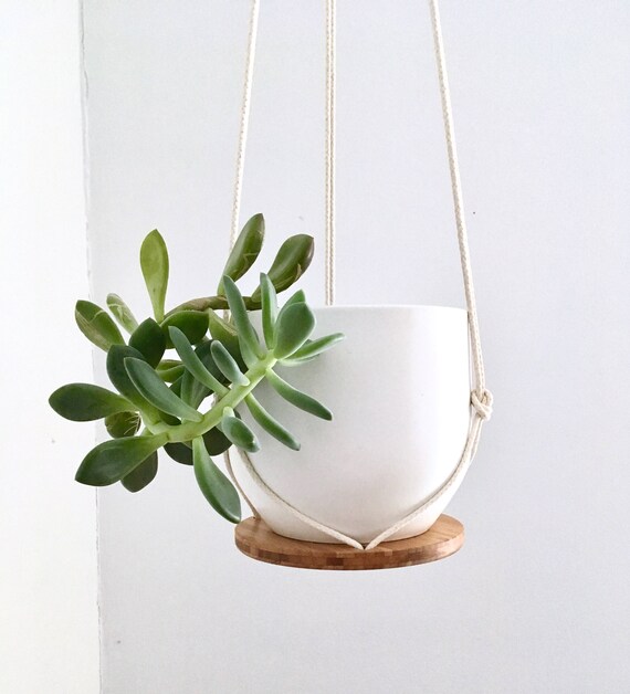 Baumwolle Pflanze - Images | Slike