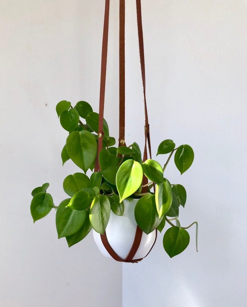 Plant Hanger, recycled leather plant harness to hang your own pot image 1