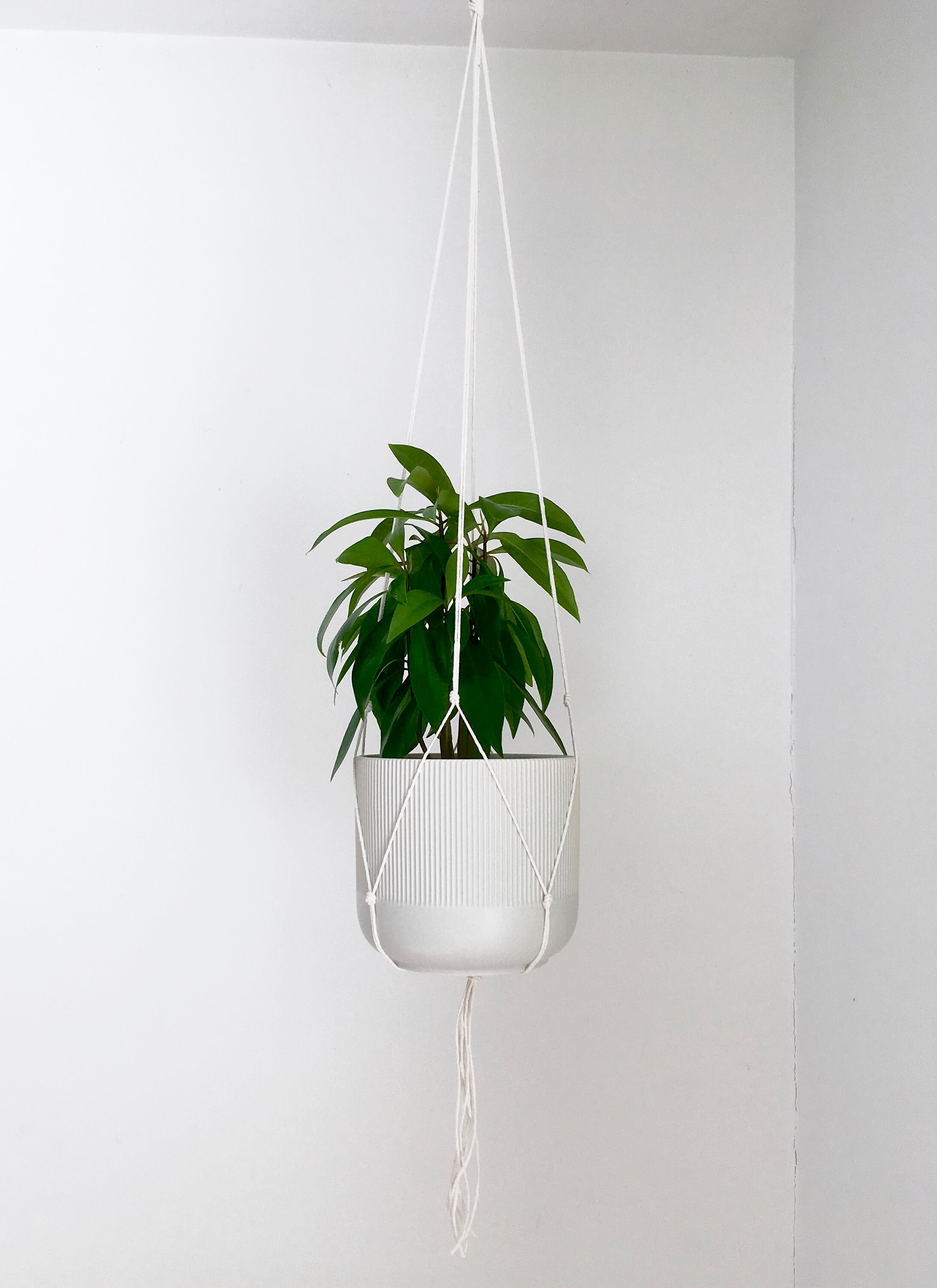 Macrame Plant Hanger, minimalist cotton hanger for small pots