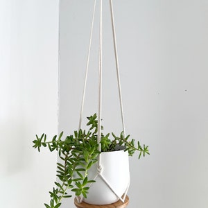 Plant Hanger Shelf, recycled bamboo and canadian cotton, three sizes image 4