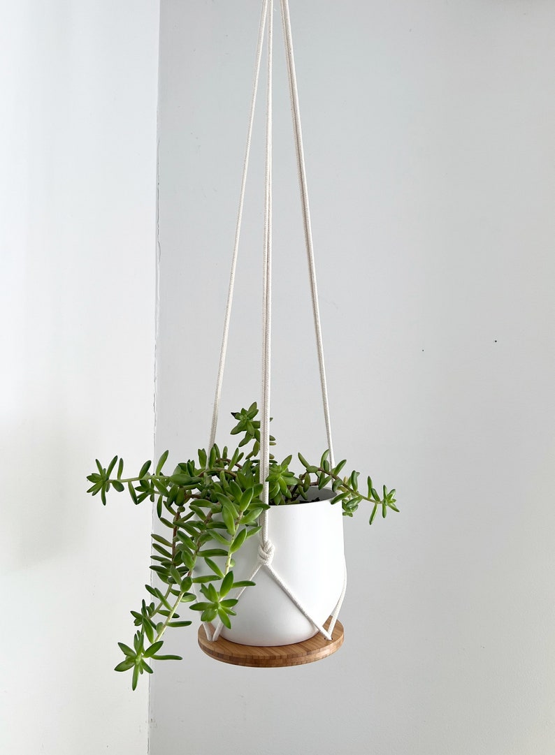 Plant Hanger Shelf, recycled bamboo and canadian cotton, three sizes image 4