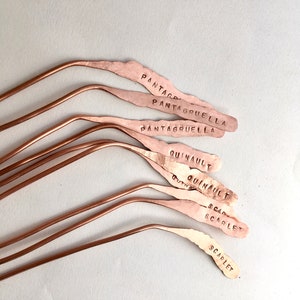 Set of 5 Copper Plant Tags custom made with recycled metal image 5