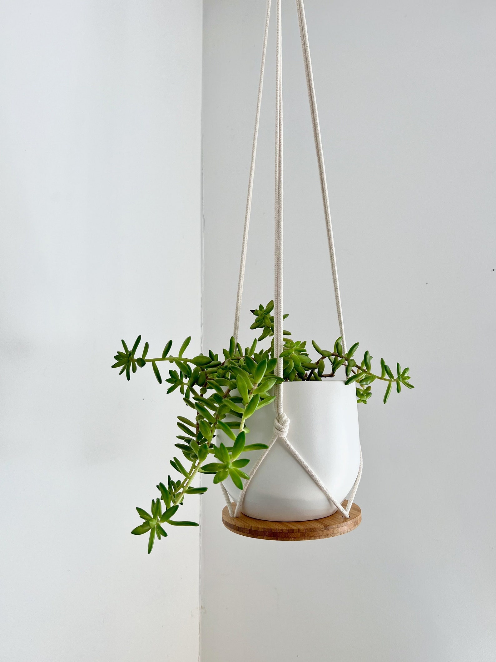 Plant Hanger Shelf Recycled Bamboo and Canadian Cotton Three Etsy