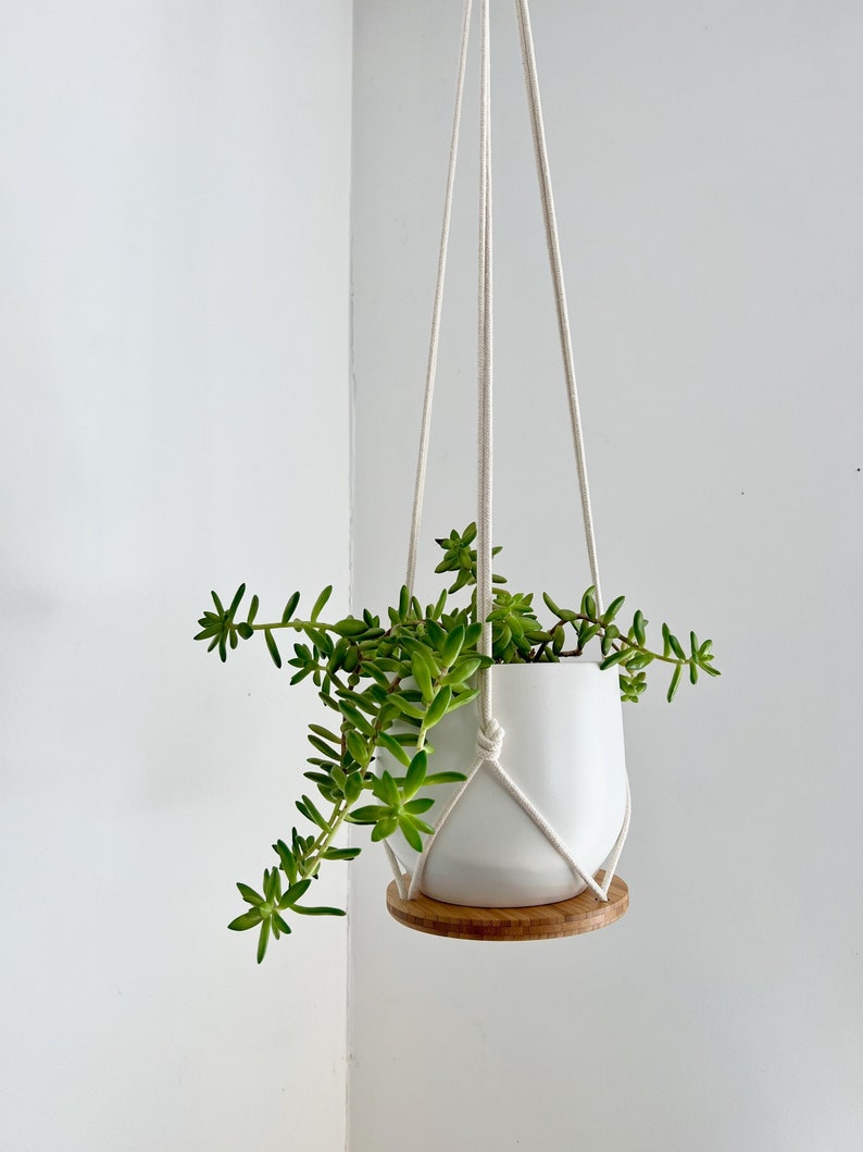 Plant Hanger Shelf, recycled bamboo and canadian cotton, three sizes image 1