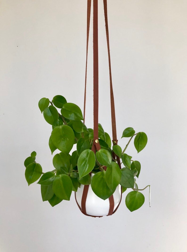 Plant Hanger, recycled leather plant harness to hang your own pot image 3