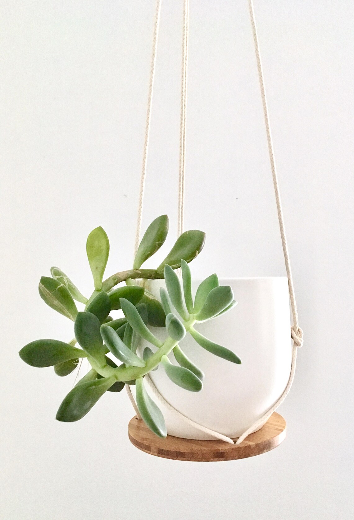 Plant Hanger Shelf recycled bamboo and canadian cotton Etsy