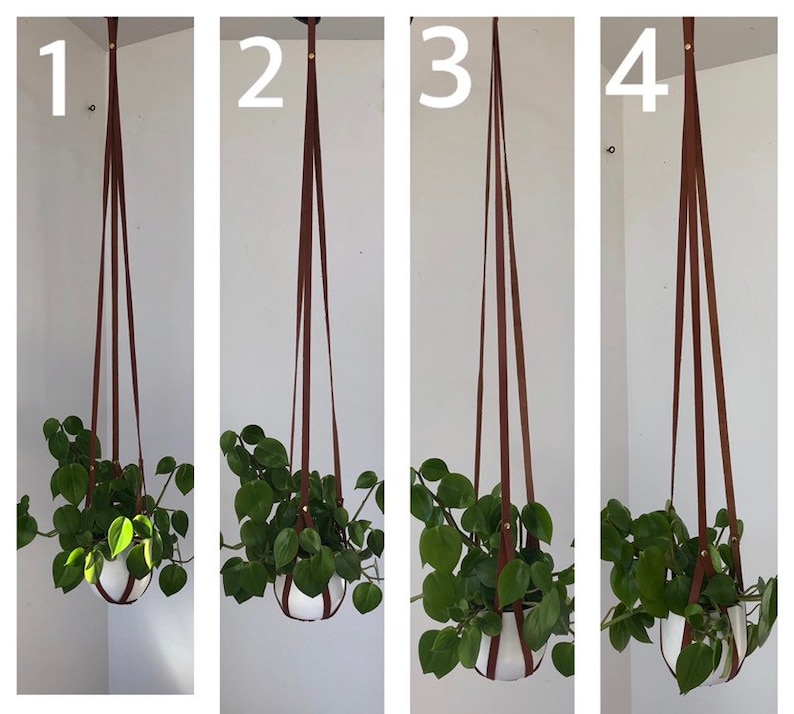 Plant Hanger, recycled leather plant harness to hang your own pot image 7