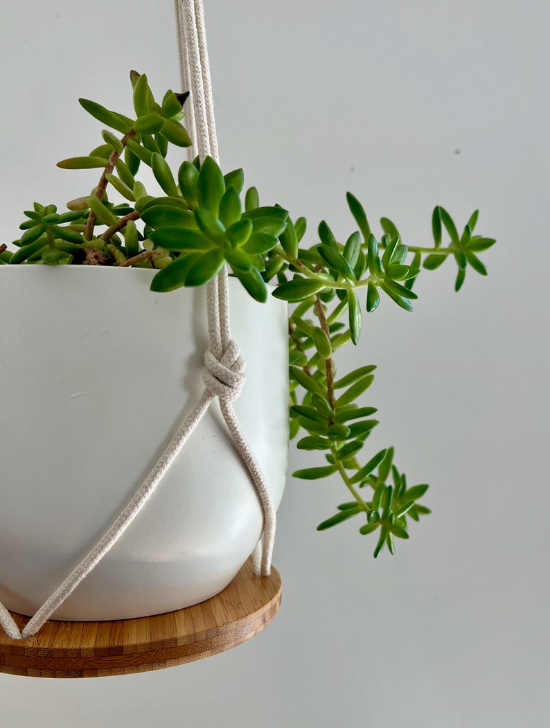 Plant Hanger Shelf, recycled bamboo and canadian cotton, three sizes image 9