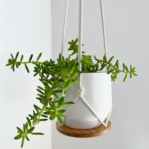 Plant Hanger Shelf, recycled bamboo and canadian cotton, three sizes image 5