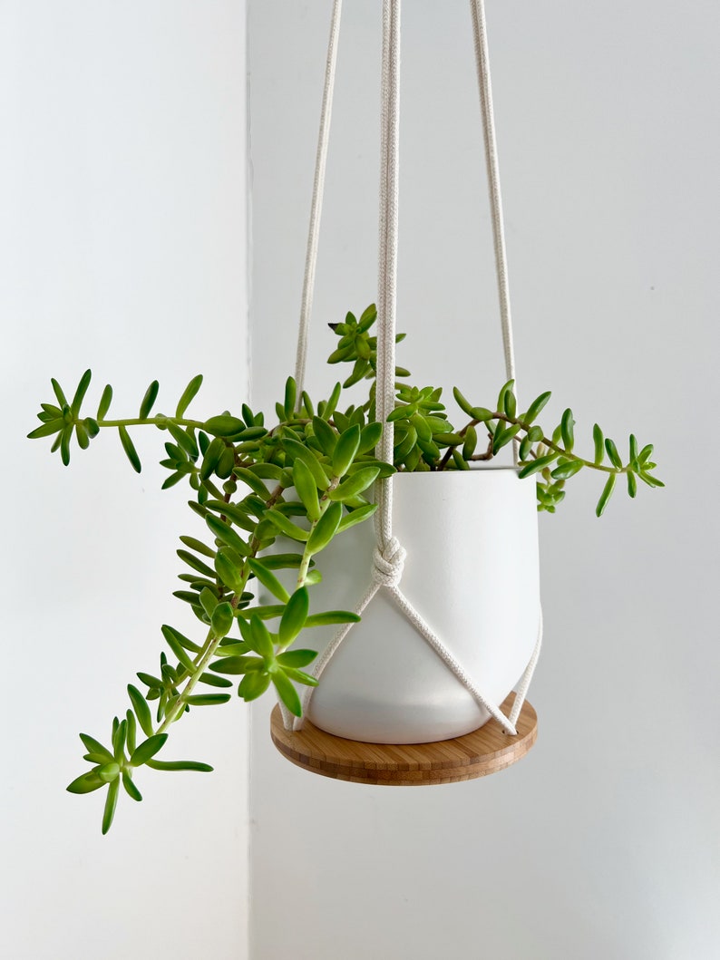 Plant Hanger Shelf, recycled bamboo and canadian cotton, three sizes image 5