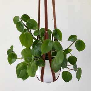 Plant Hanger, recycled leather plant harness to hang your own pot image 2