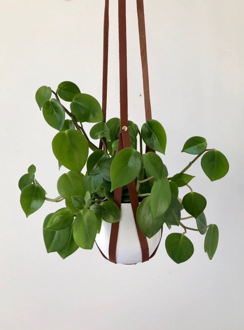 Plant Hanger, recycled leather plant harness to hang your own pot image 2