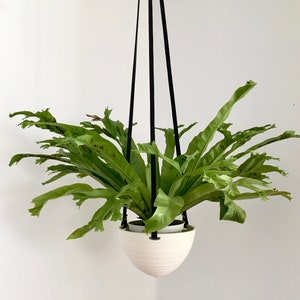 Hanging Planter in Ceramic and Recycled Leather Porcelain Plant Hanger image 2