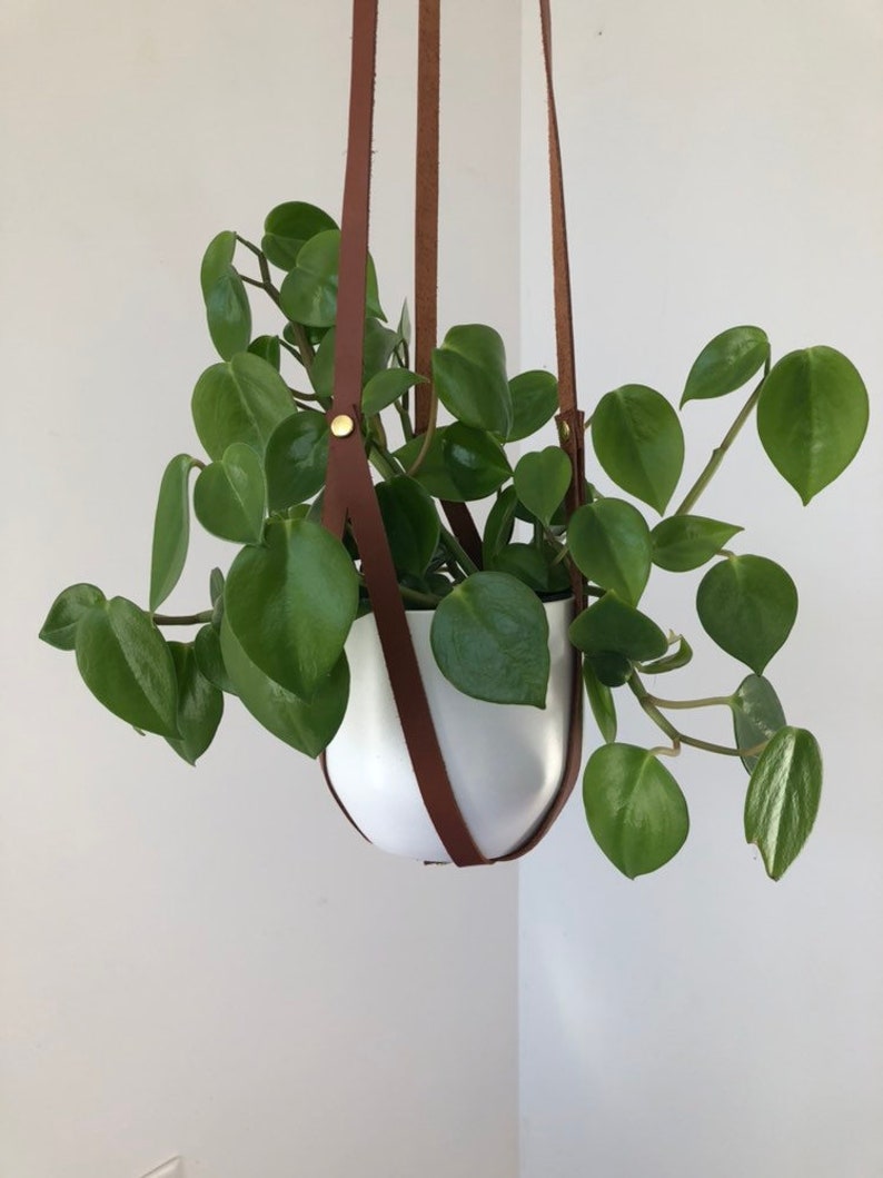 Plant Hanger, recycled leather plant harness to hang your own pot image 6