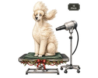 May include: A cream-colored poodle with fluffy fur sits on a grooming table decorated with a red bow and greenery. A silver professional hair dryer on a rolling stand is positioned next to the table. A black label reads 12 PNGS.