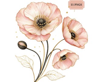 Pink Poppy Clipart Bundle, 11 Watercolor Flower PNGs, Blush Wedding Florals with Gold Leaves
